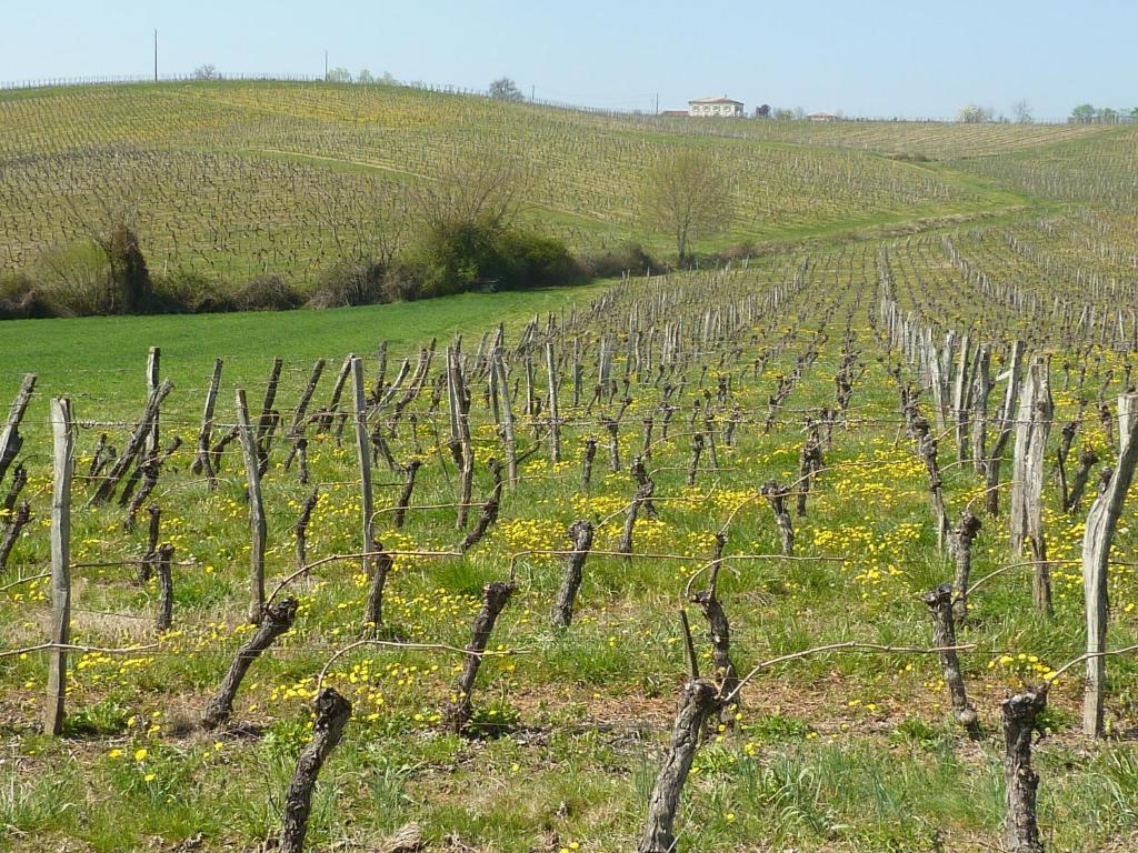 Le Dormeur Du Val Bed & Breakfast Le Mas-d'Agenais Bagian luar foto